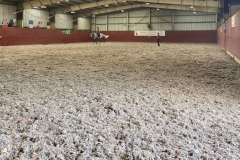 Fiona-Stuart-Flatwork-Clinic-e1598884077329