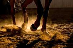 shutterstock_1051070021