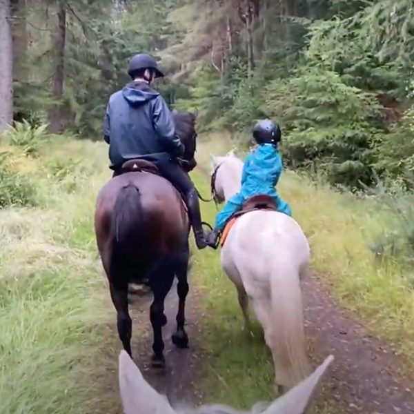 Hacking in a Scottish forest with our horses