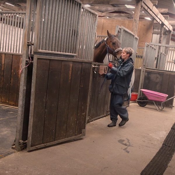 Our American barn style stables at Provanston