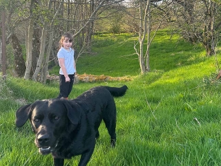 A dog walking in thr grounds at Provanston