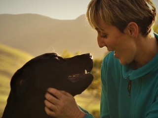 A dog looking lovingly at his owner